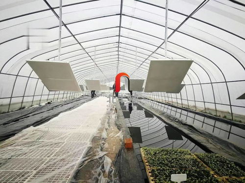 碳納米采暖這么好的技術 北半球一定要讓更多農民兄弟用上