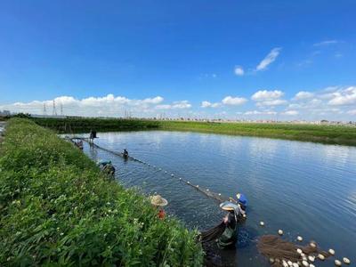 養(yǎng)魚(yú)就是養(yǎng)水,廠(chǎng)家如何研發(fā)有效調(diào)水產(chǎn)品?|陳昌福專(zhuān)欄