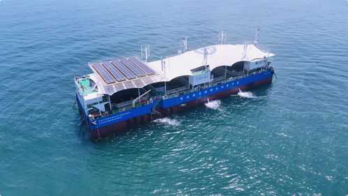 找到 最有價值 的魚