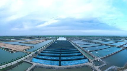 光合蟹業(yè)成功入選首批&ldquo;全國水產技術推廣人員培訓基地&rdquo;名單