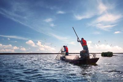 養(yǎng)魚就是養(yǎng)水,廠家如何研發(fā)有效調(diào)水產(chǎn)品?|陳昌福專欄