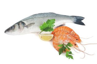 青企打造水產(chǎn)養(yǎng)殖云服務(wù)平臺(tái)