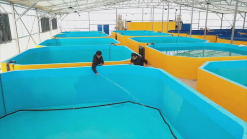 從沙漠鹽堿到 魚(yú)蝦滿倉(cāng) 和田縣新一年備產(chǎn)正酣