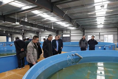 江西省水產(chǎn)學(xué)會(huì)在九江市召開(kāi)工廠化循環(huán)水養(yǎng)殖研討會(huì)