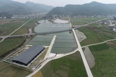 創展現代漁業產業園,推動漁業發展轉型升級,助力鄉村全面振興